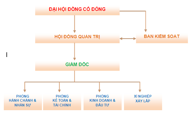 Cơ cấu tổ chức công ty việt tiến đông á